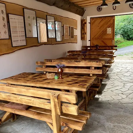 Statek Derava Bota